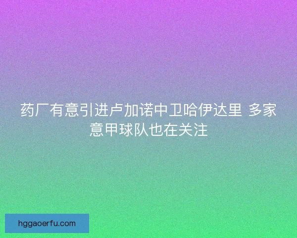药厂有意引进卢加诺中卫哈伊达里 多家意甲球队也在关注